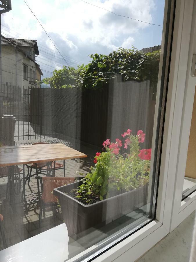 Vintage Apartment - Ultracentral, 2 Dormitoare Sighişoara Eksteriør bilde